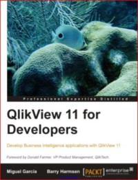 Image of QlikView 11 for Developers