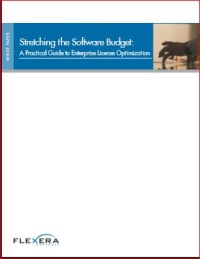 Image of Stretching the Software Budget: A Practical Guide to Enterprise License Optimization