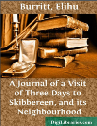 Image of A JOURNAL OF A VISIT OF THREE DAYS TO SKIBBEREEN, AND ITS NEIGHBOURHOOD