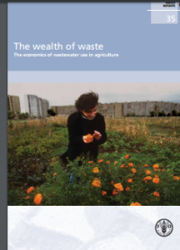 Image of The wealth of waste The economics of wastewater use in agriculture