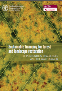 Image of Sustainable financing for forest and landscape restoration