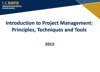 Image of Introduction to Project Management: Principles, Techniques and Tools