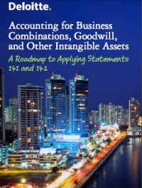 Image of Accounting for Business Combinations, Goodwill, and Other Intangible Assets