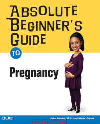 Image of Absolute Beginner’s Guide to Pregnancy