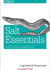 Image of Salt Essentials