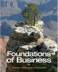 Image of Foundations of Business ￼