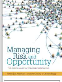 Image of Managing Risk and Opportunity
