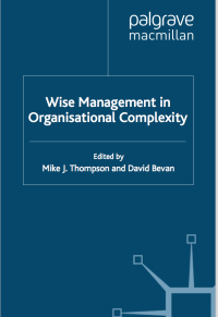 Image of Wise Management in Organisational Complexity