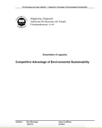 Image of Competitive Advantage of Environmental Sustainability