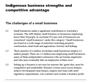 Image of Indigenous business strengths and competitive advantage
