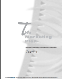 Image of The Marketing Plan
