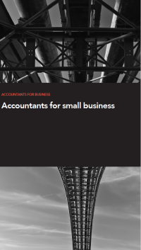 Image of Accountants for small business