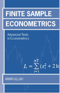 Image of ADVANCED TEXTS IN ECONOMETRICS