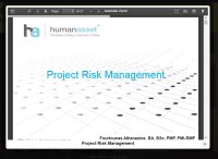 Image of Project Risk Management