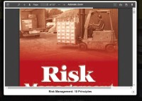 Image of Risk Management: 10 Principles